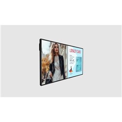 Philips 50 inch P Series 4K 24/7 800nit Professional Tough Display with OPS